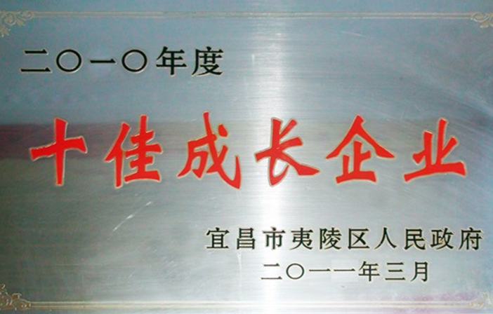 2010年度 十佳成長(zhǎng)企業(yè)